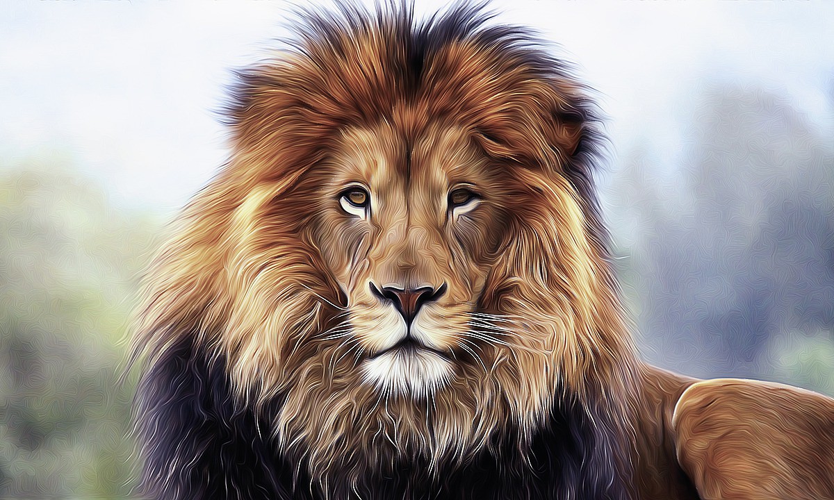 Lion of Judah III